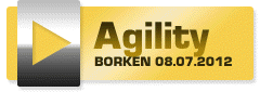 AGI TURNIER BORKEN 08.07.2012
